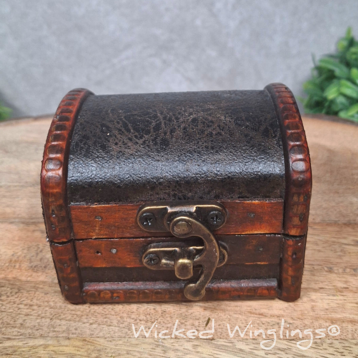 A chest sitting on a wood surface with greenery. Text reads wicked winglings