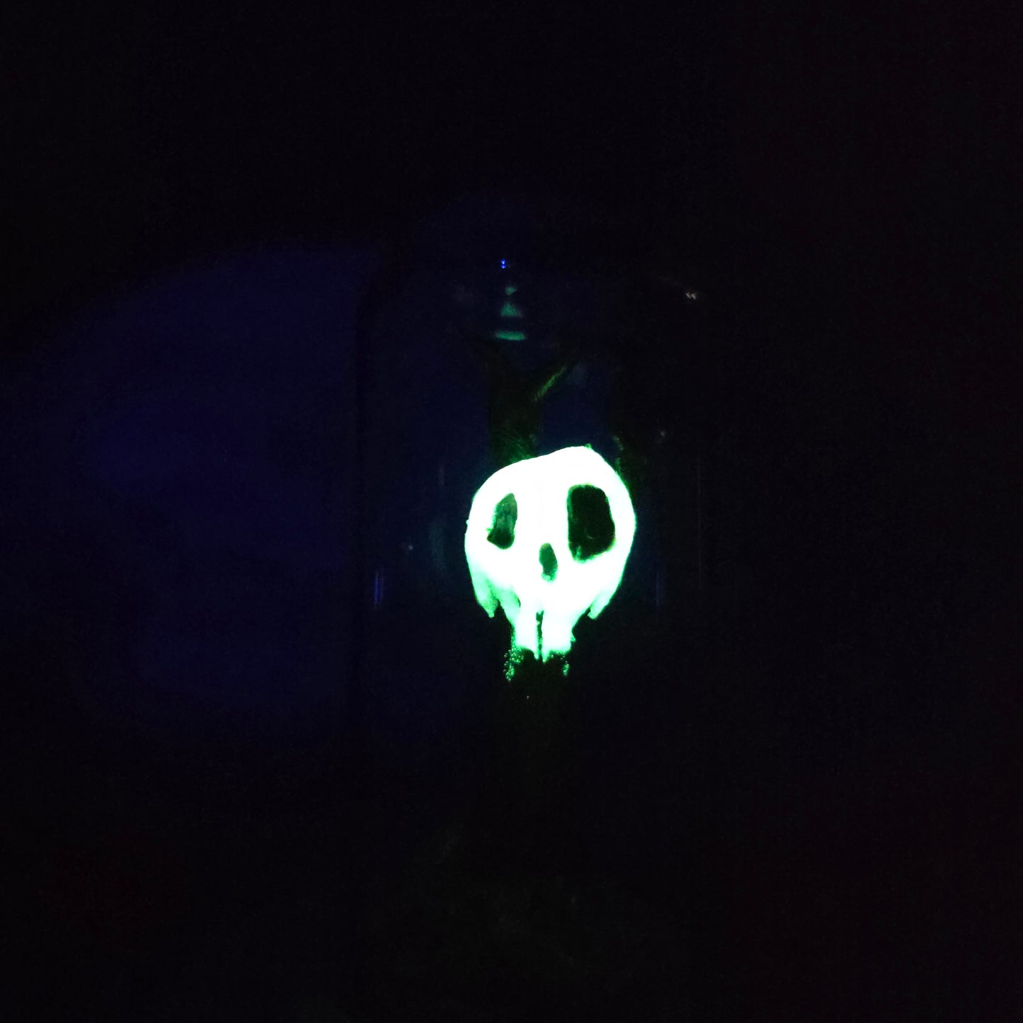 Skullee-Wagz face glowing in dark