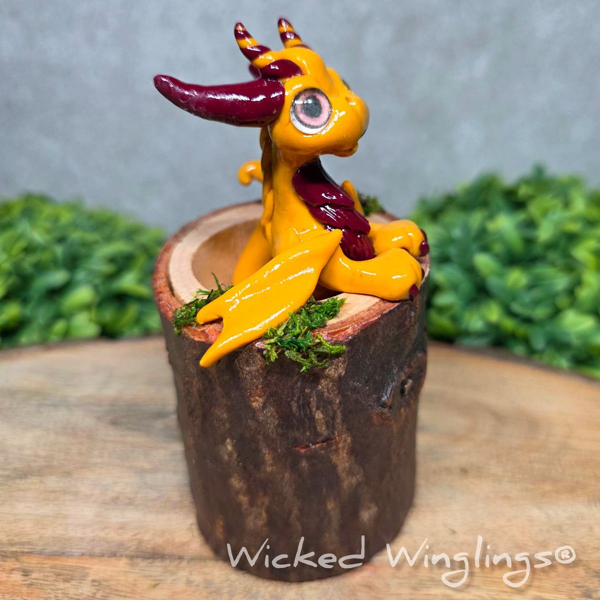 A side view of a clay dragon in a wood stump against a blurred background with greenery. Text says Wicked Winglings