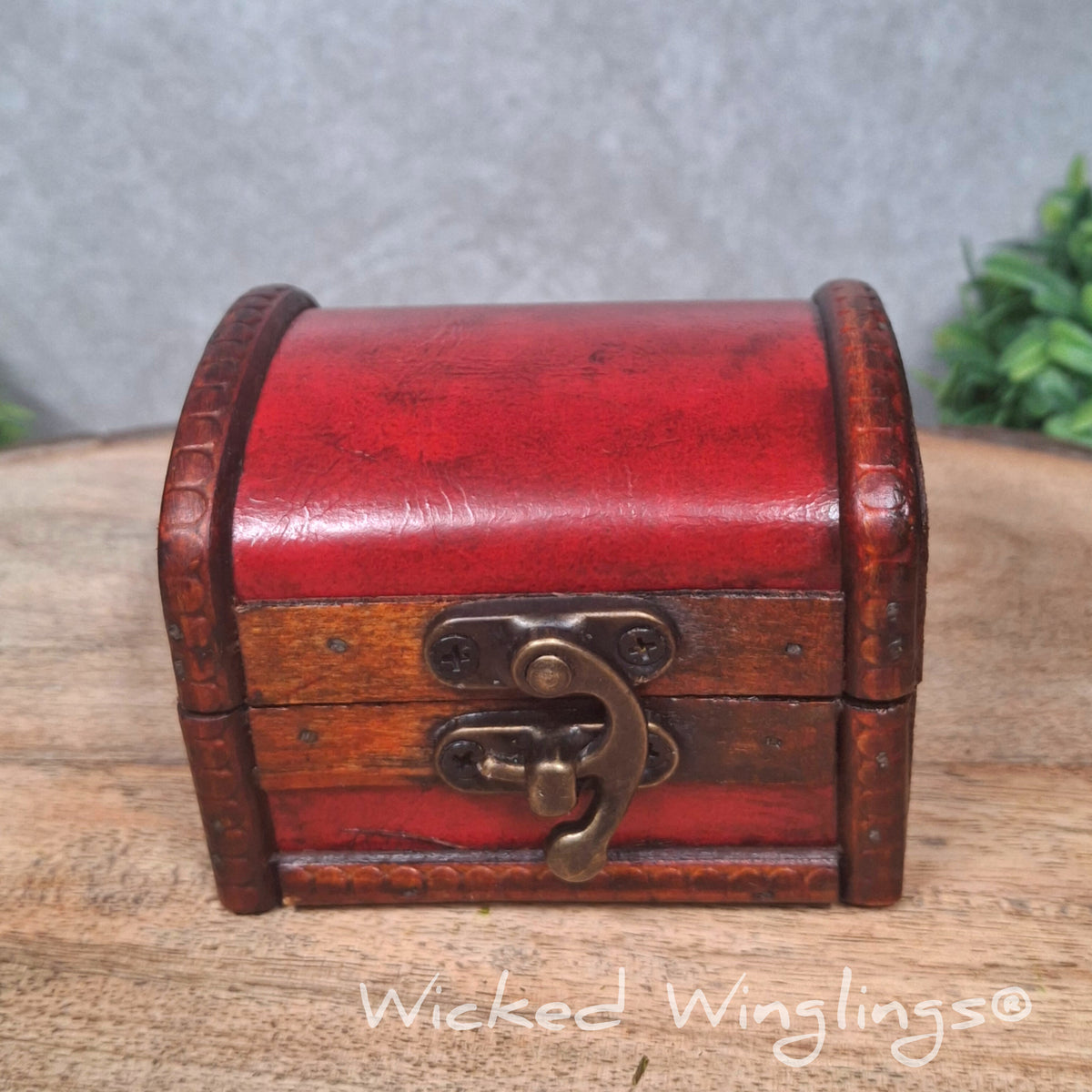 A chest sitting on a wood surface with greenery. Text says Wicked Winglings