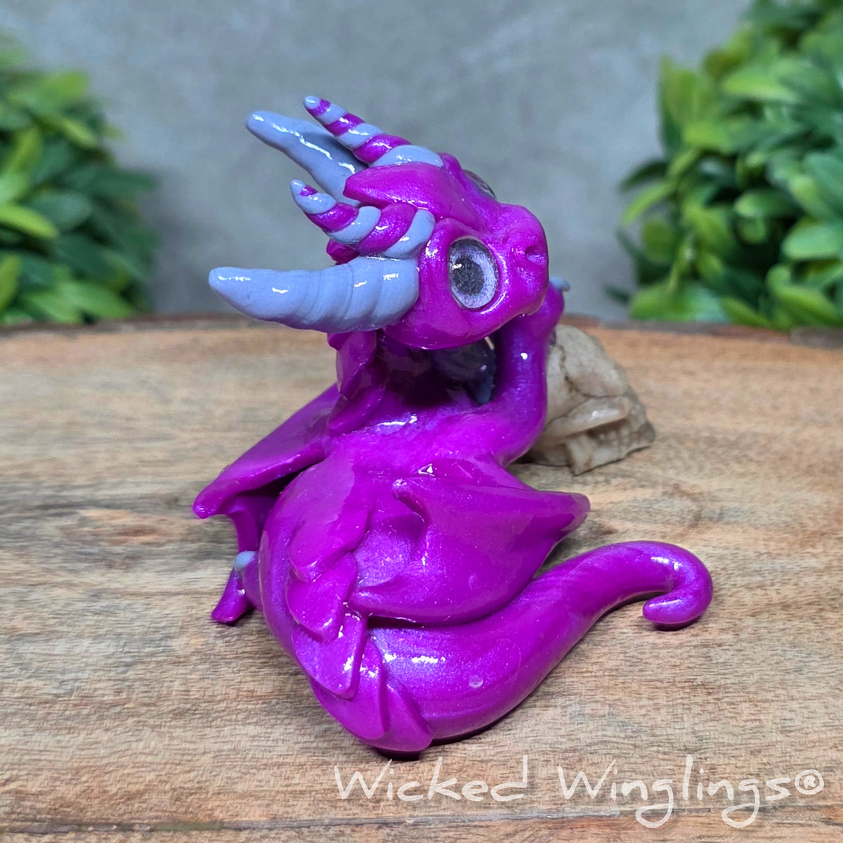 A clay dragon holding a skull sitting against a blurred background with greenery. Text says Wicked Winglings.