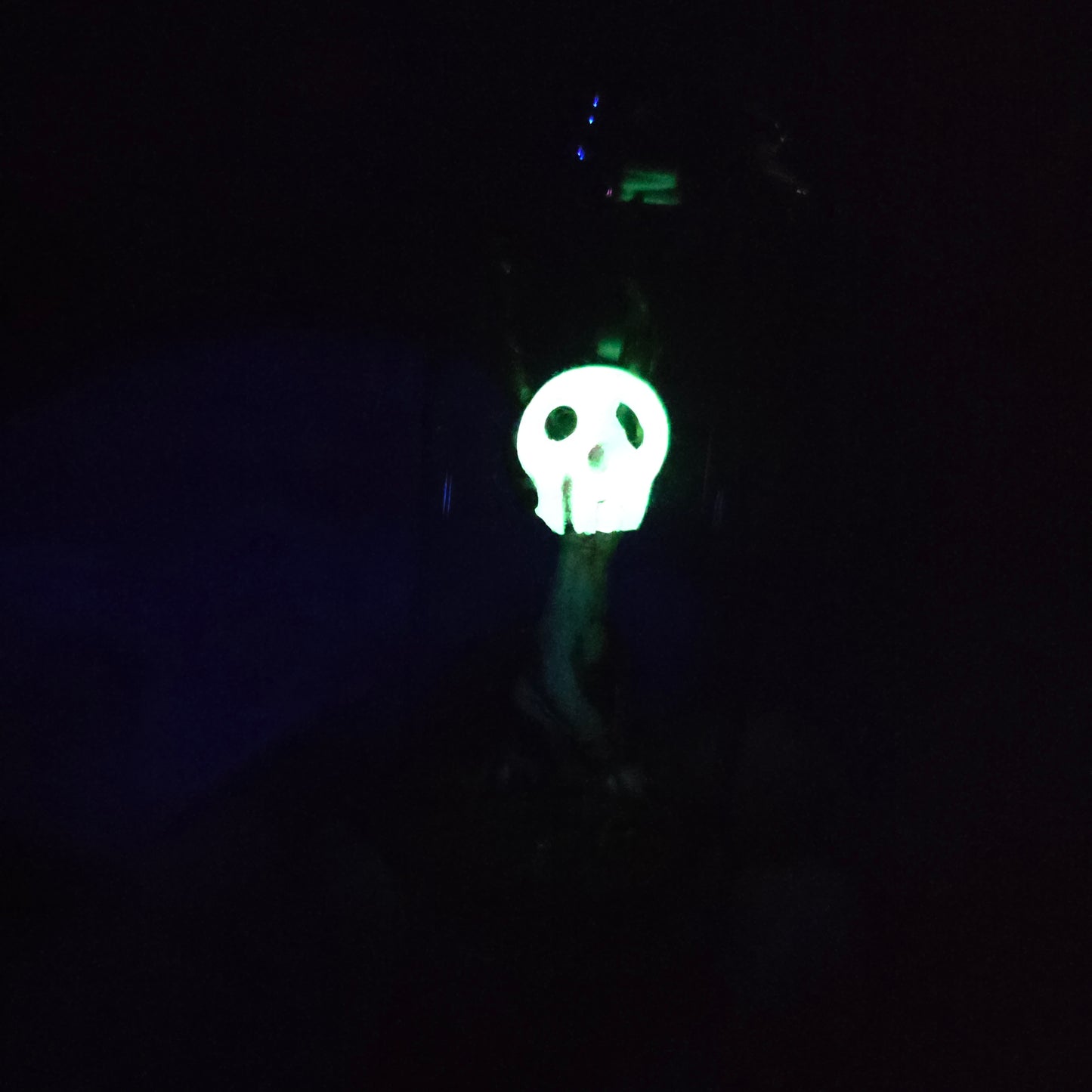 Skullee-Wagz face glowing in dark