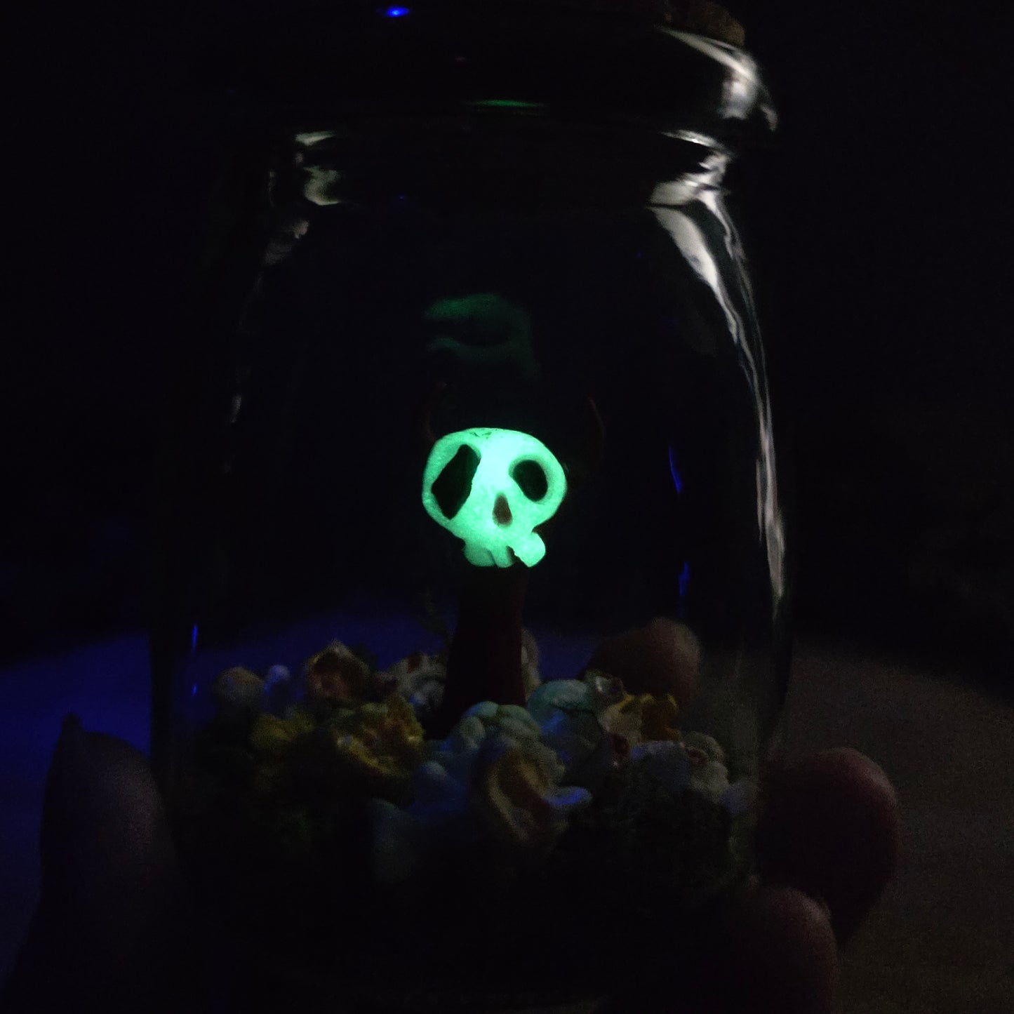 Skullee-Wag face glowing in dark