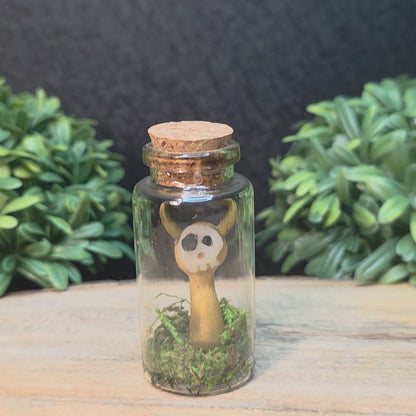 Skullee-Wagz™ #143 ~ Skull Face Glows In Dark