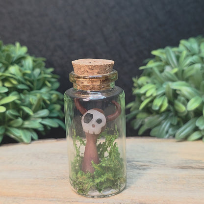 Skullee-Wagz™ #132 ~ Skull Face Glows In Dark