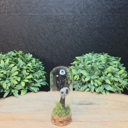 Skullee-Wagz™ #333 ~ Skull Face Glows In Dark