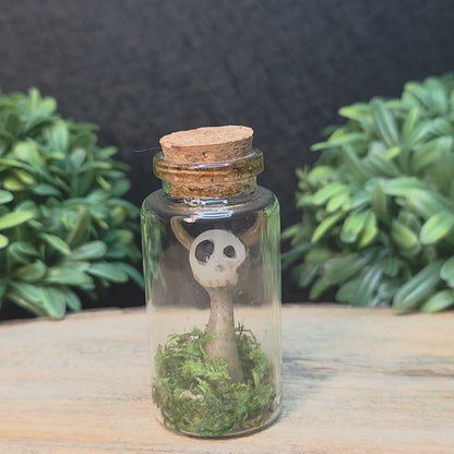 Skullee-Wagz™ #142 ~ Skull Face Glows In Dark