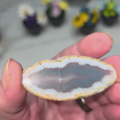 A video showing an inclusion in an agate slice
