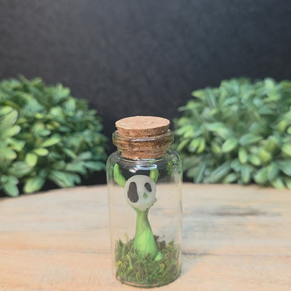 Skullee-Wagz™ #236 ~ Skull Face Glows In Dark