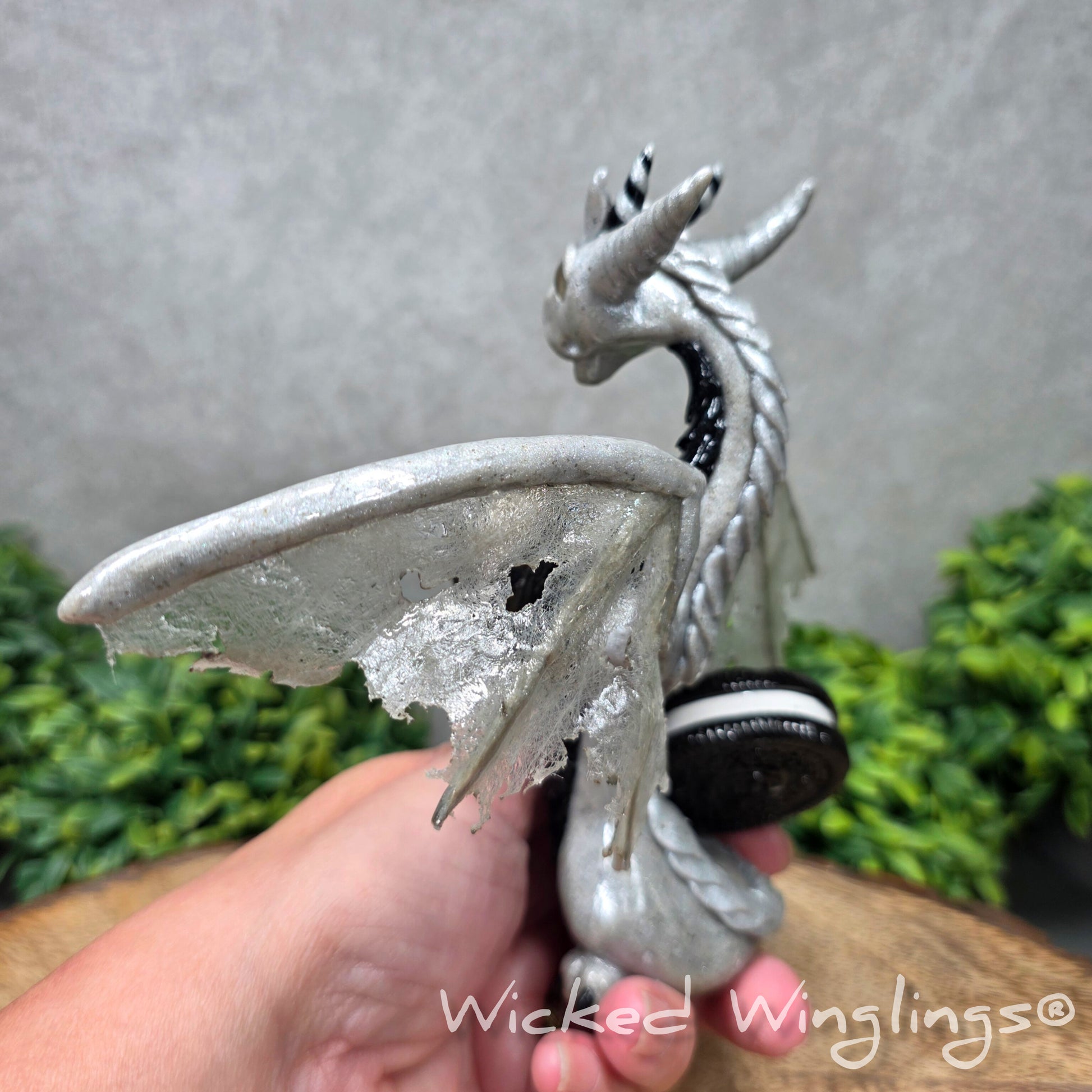 Back view of a  hand holding a  large clay dragon with cookies with a Wicked Winglings® watermark.