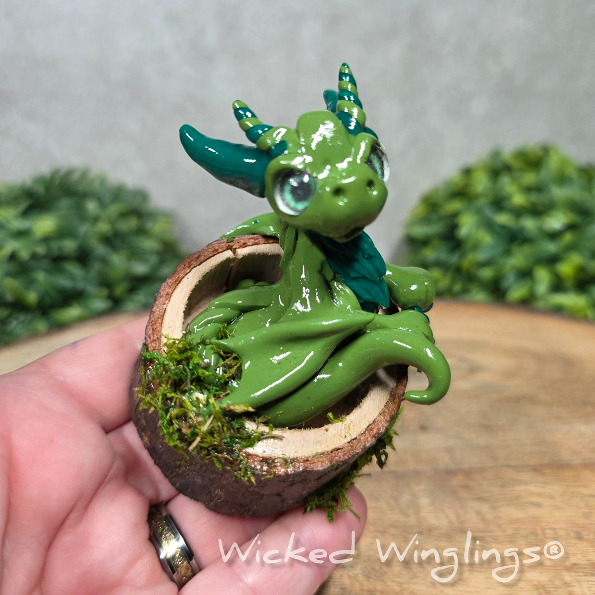 A hand holding a green clay dragon in a wood stump against a blurred background with greenery. Text says Wicked Winglings