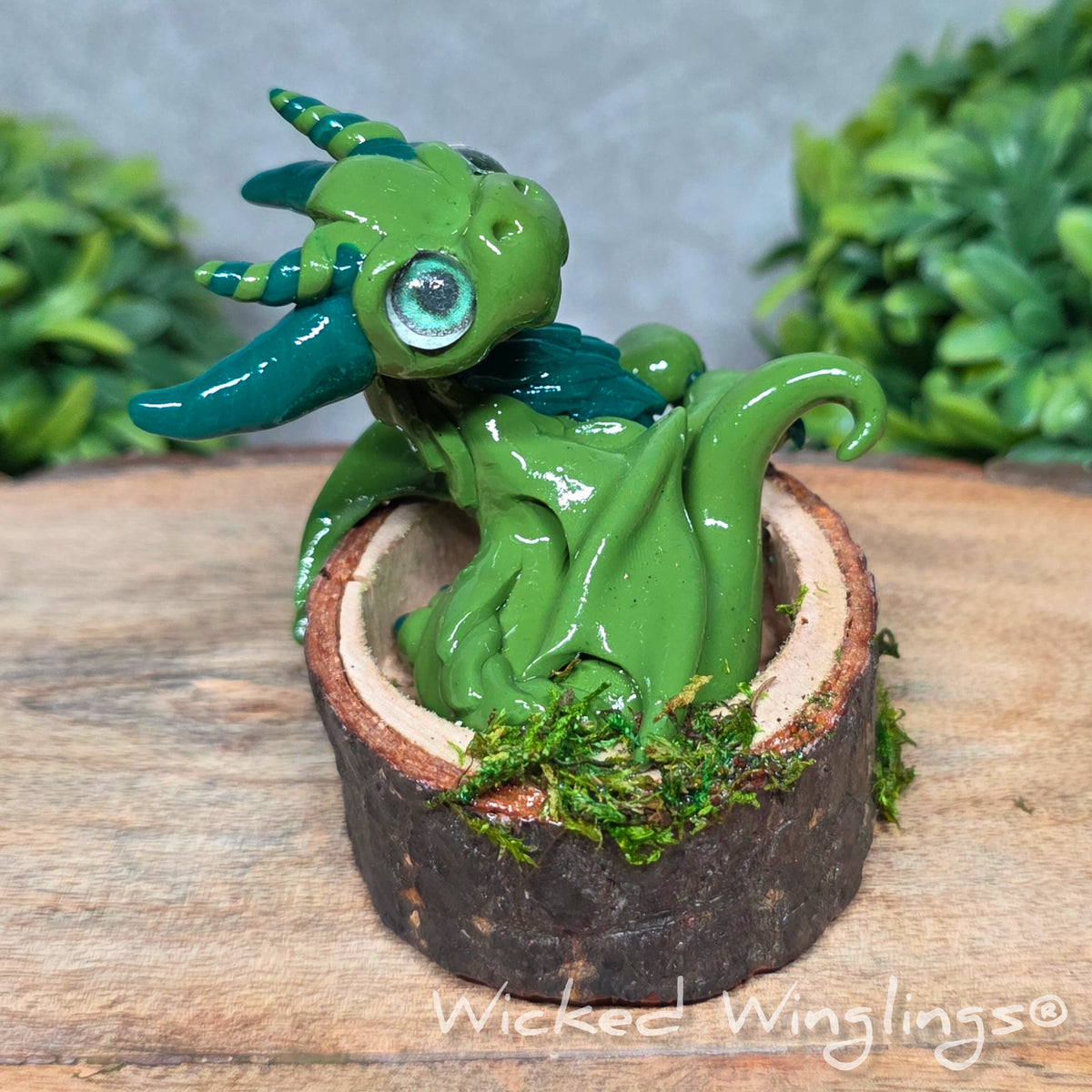 A green clay dragon in a wood stump against a blurred background with greenery. Text says Wicked Winglings
