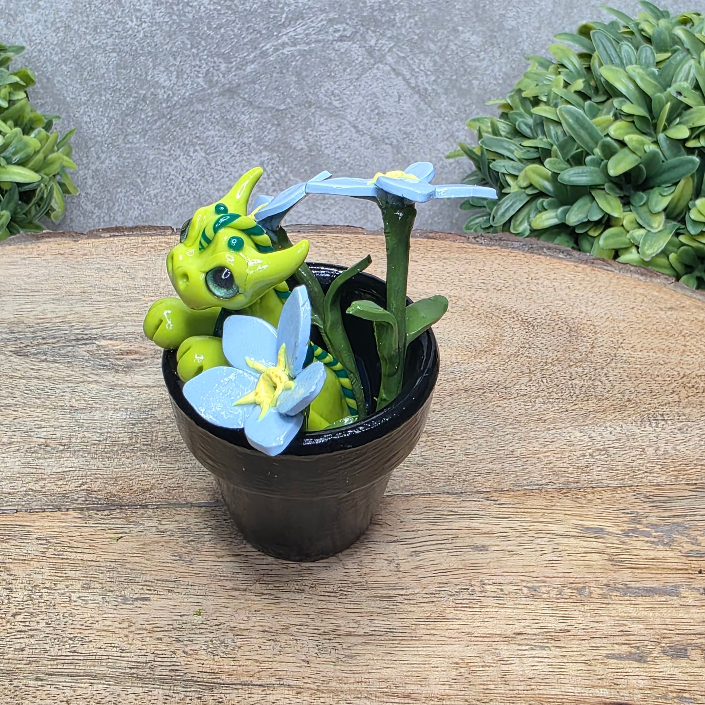 Side view of a clay baby dragon in a pot with forget me nots against a wood surface with greenery.