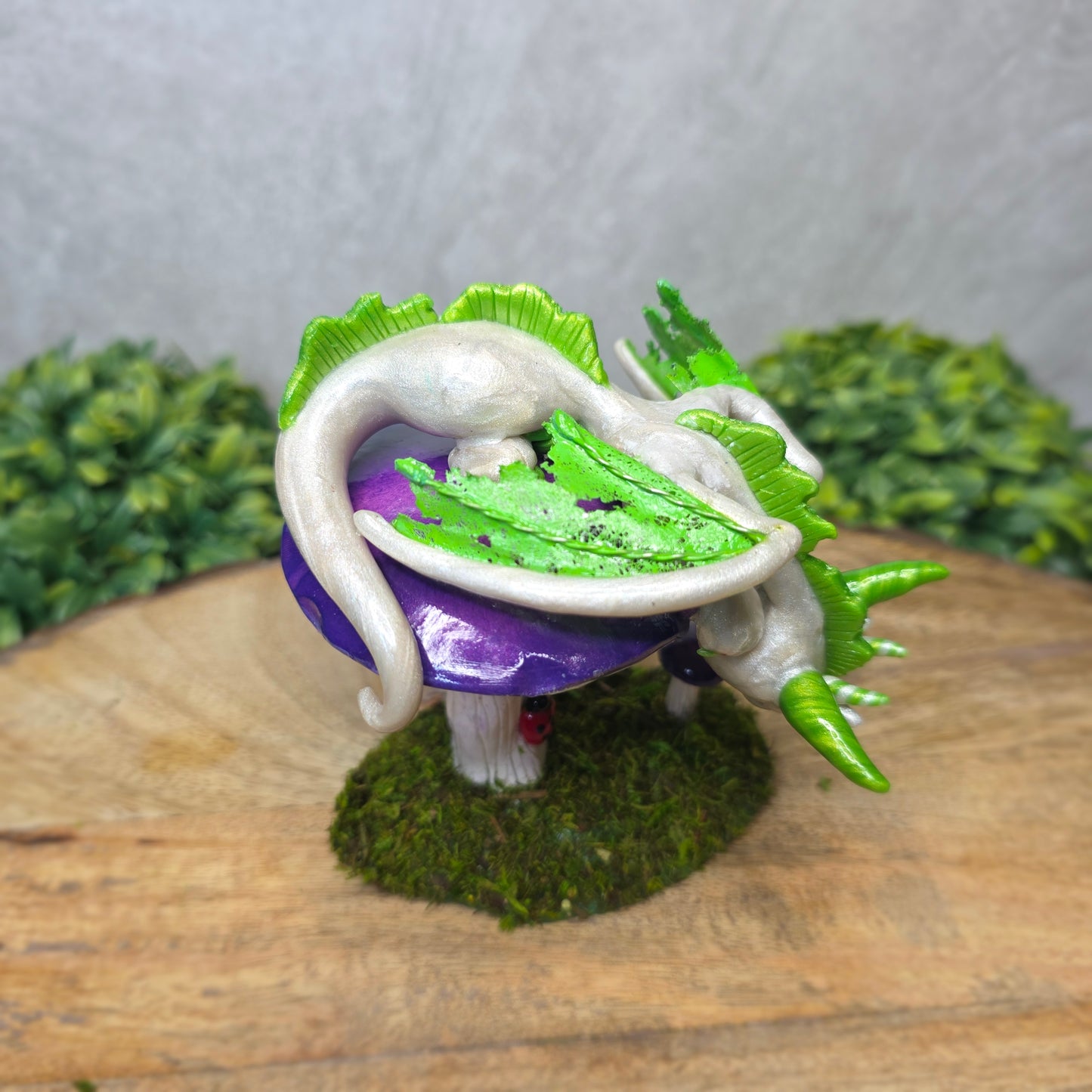 A clay dragon figurine on a  mushroom on a wooden surface with greenery.
