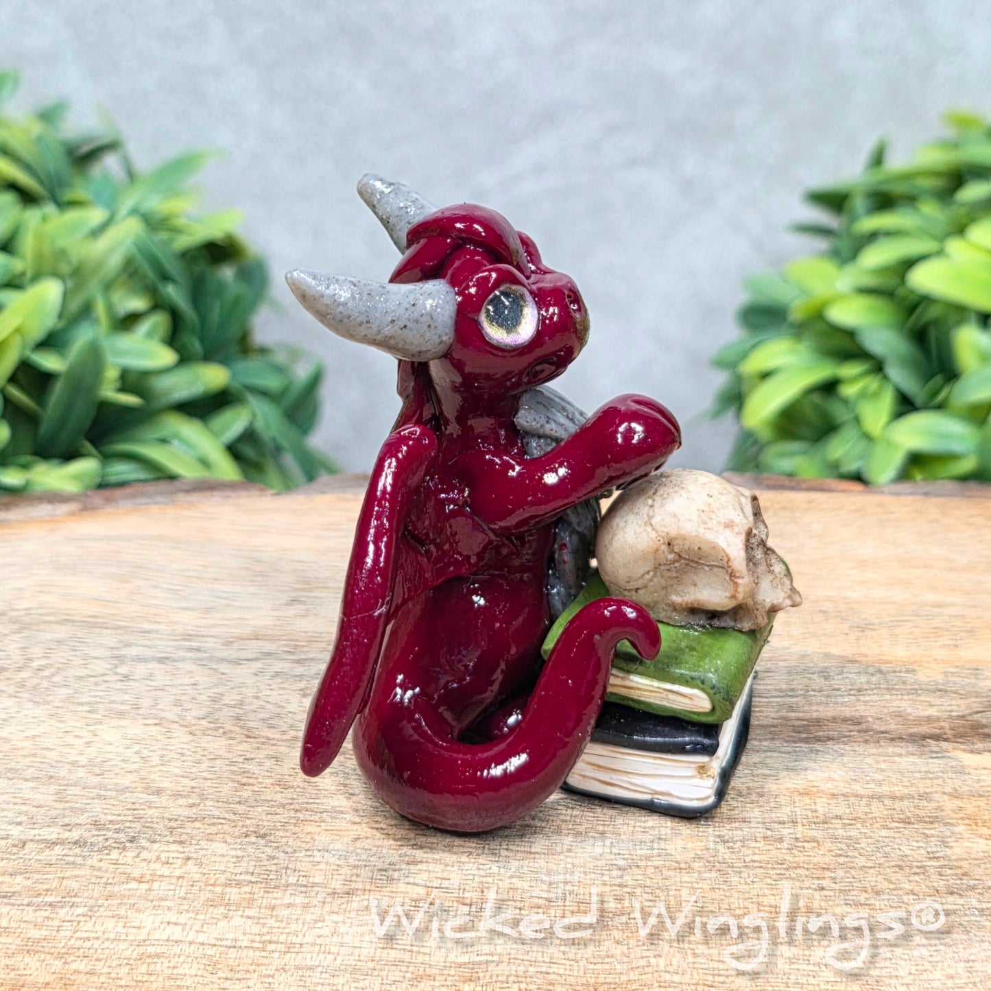 A clay dragon with a skull and books on a wood surface with greenery. Includes text Wicked Winglings