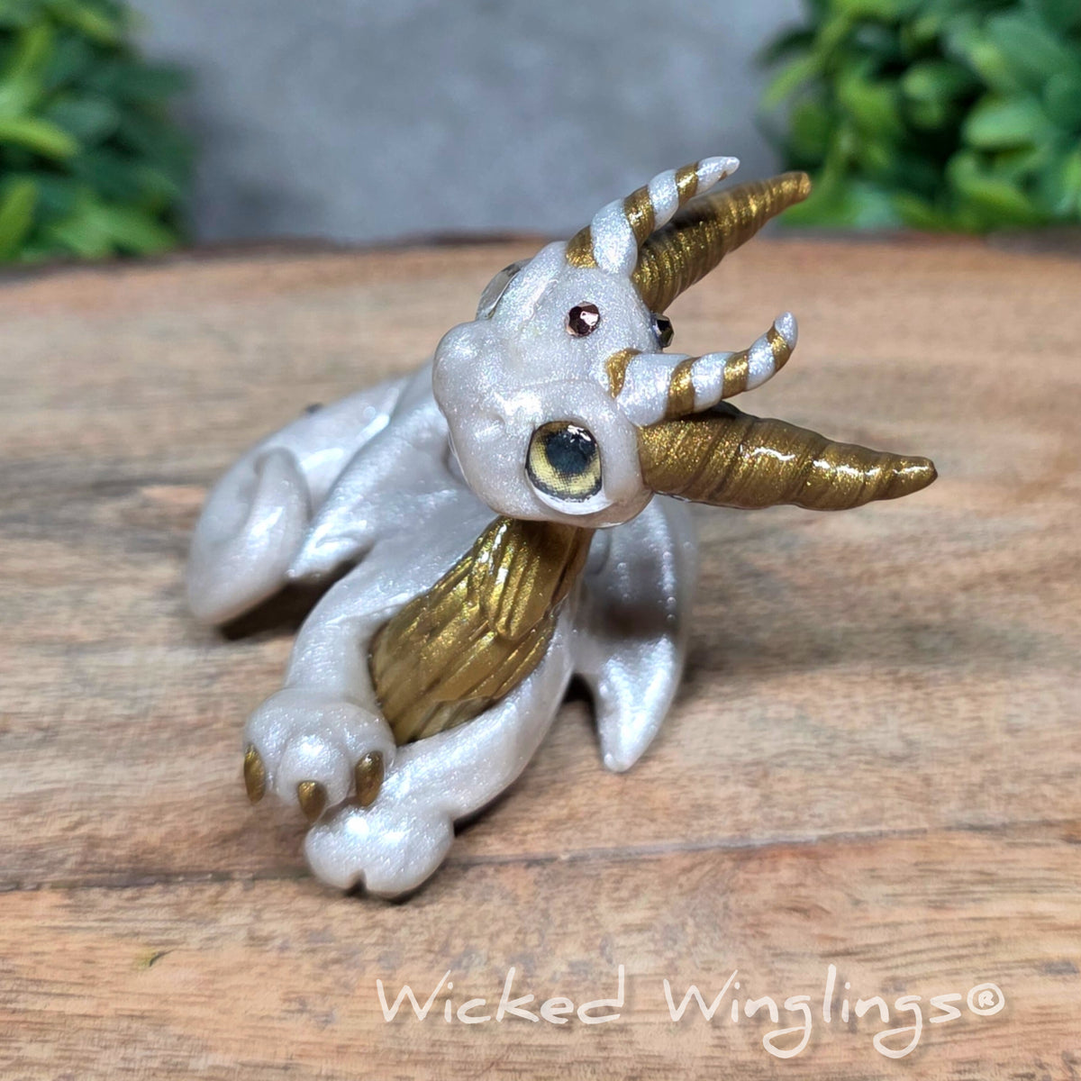  A white clay dragon sitting against a blurred background with greenery. Text says Wicked Winglinng.