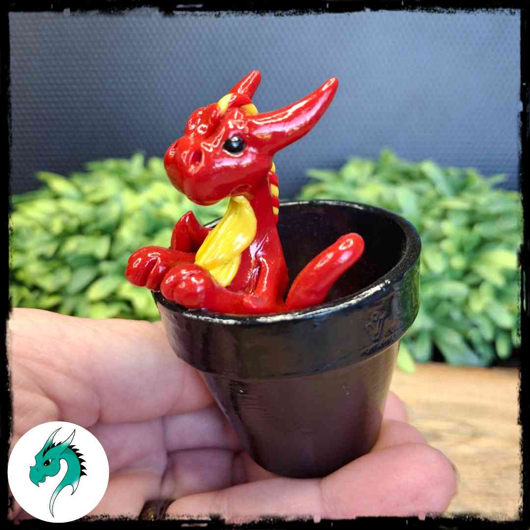 Adson - Original Hand Sculpted Dragon in Pot