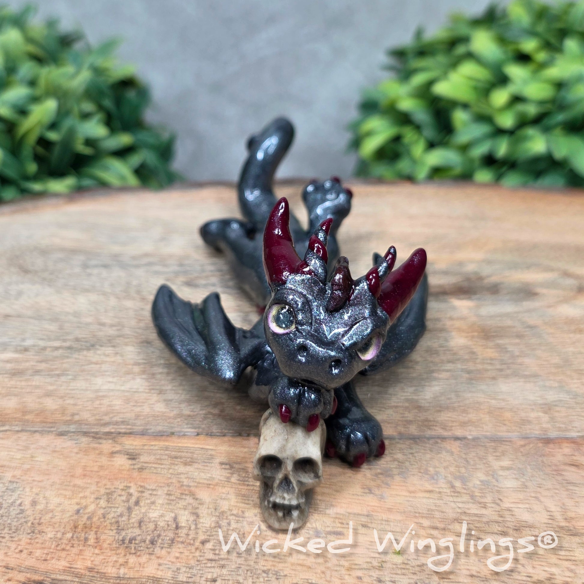A clay dragon with a skull against a wood surface with greenery. Includes text Wicked Winglings