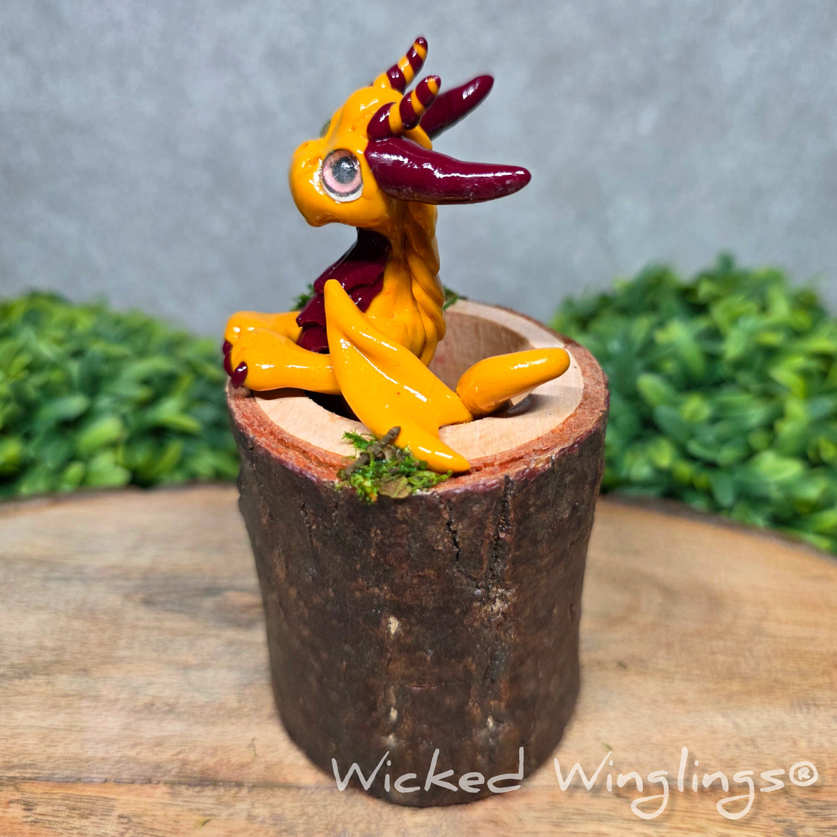 Side view of a clay dragon in a wood stump against a blurred background. Text says Wicked Winglings