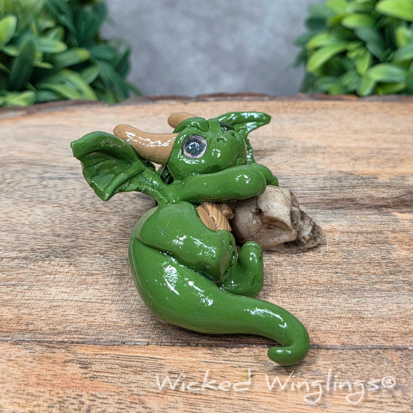A clay dragon with a skull on a wood surface with greenery. Includes text Wicked Winglings