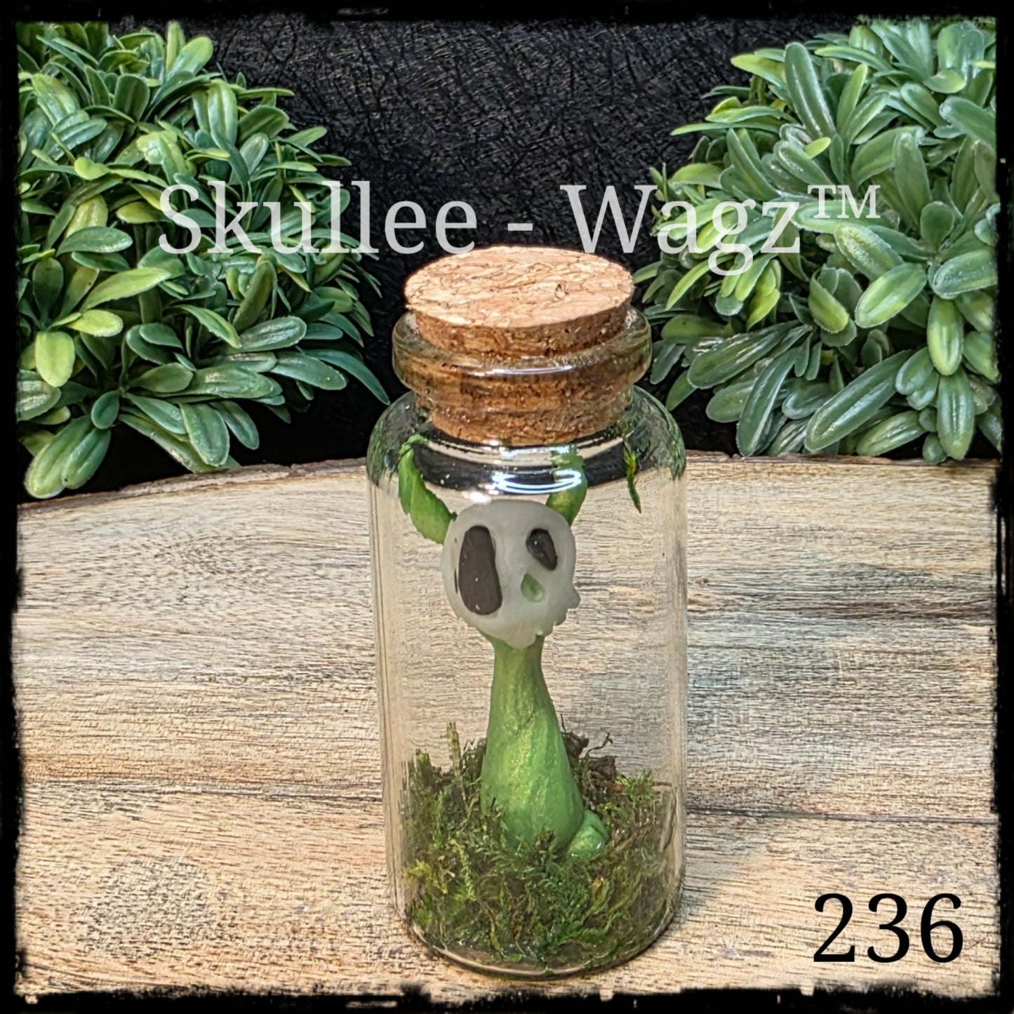 Skullee-Wagz™ #236 ~ Skull Face Glows In Dark