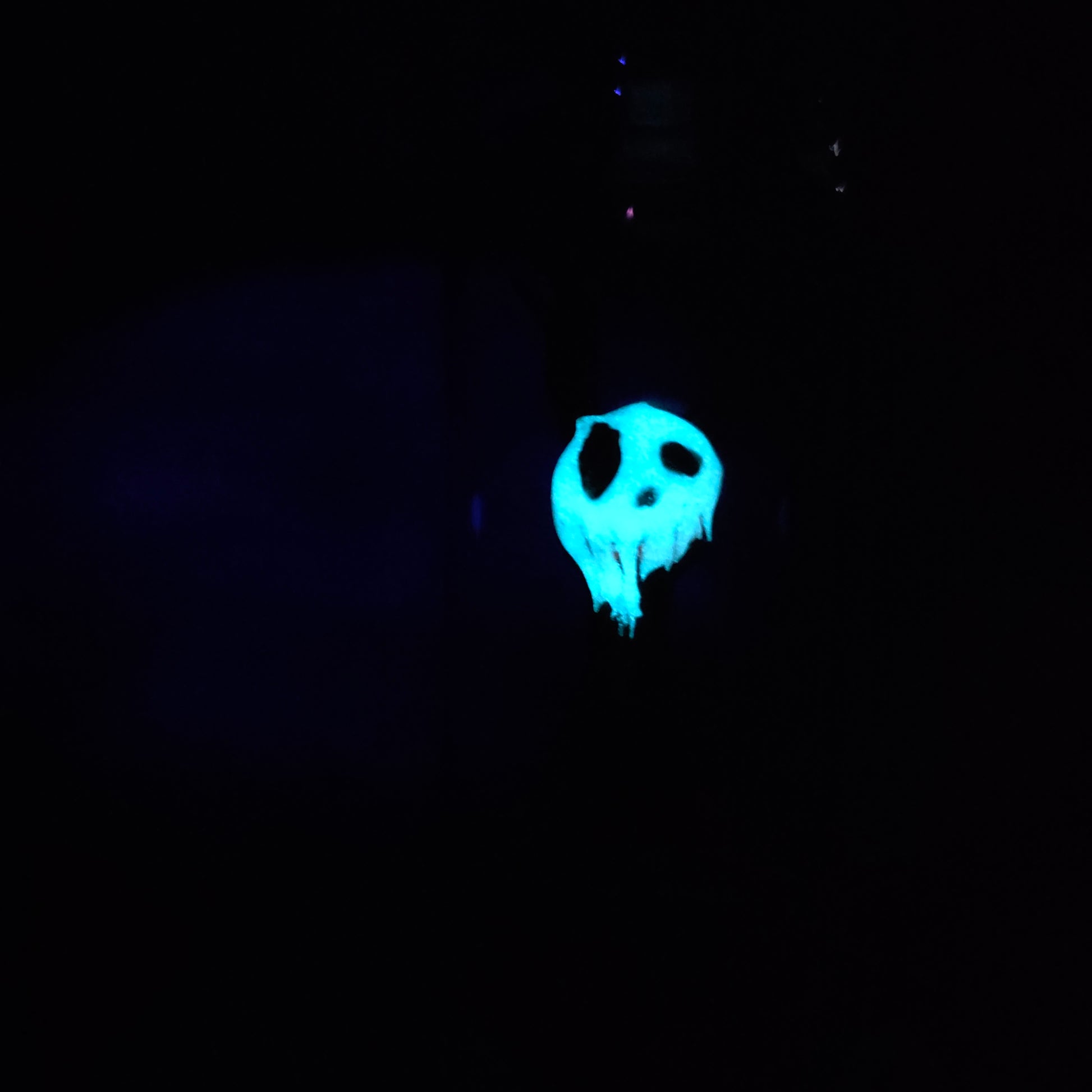 Skullee-Wagz face glowing in dark