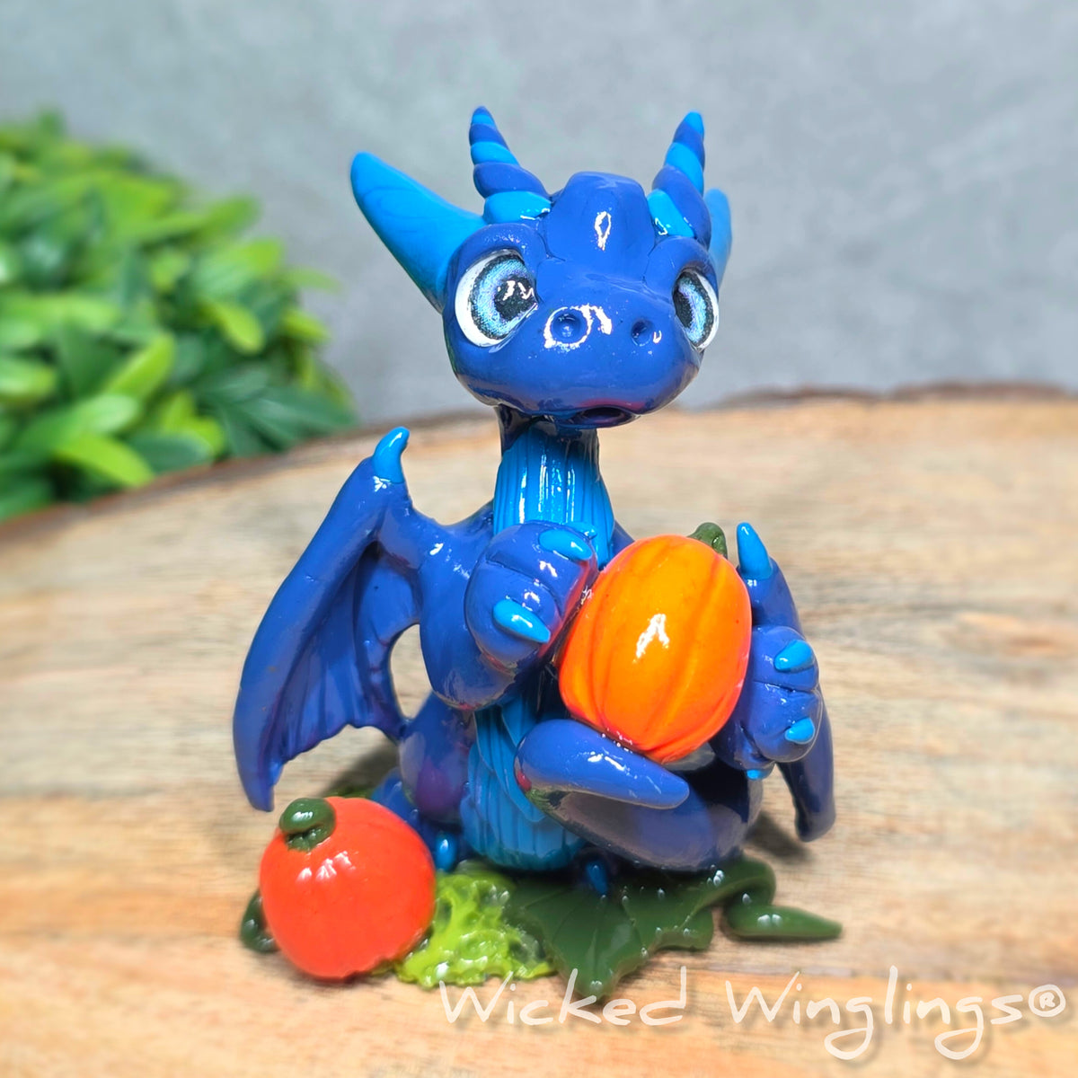 A blue clay dragon with pumpkins against a wood surface with greenery. Text reads Wicked Winglings. 
