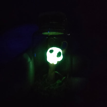 Skullee-Wagz face glowing in dark