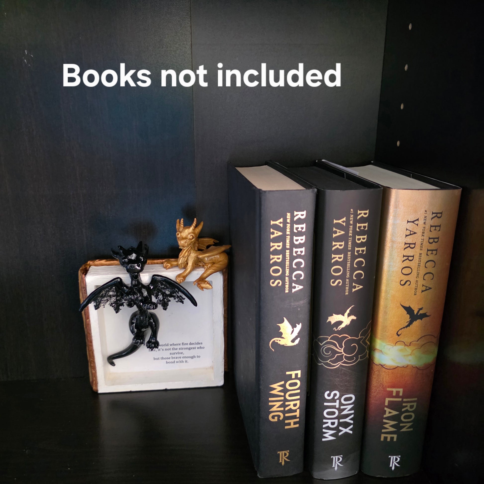 Book nook with dragons on bookshelf with text books not included