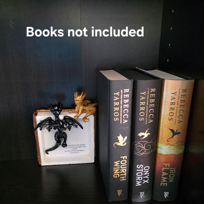 Book nook with dragons on bookshelf with text books not included