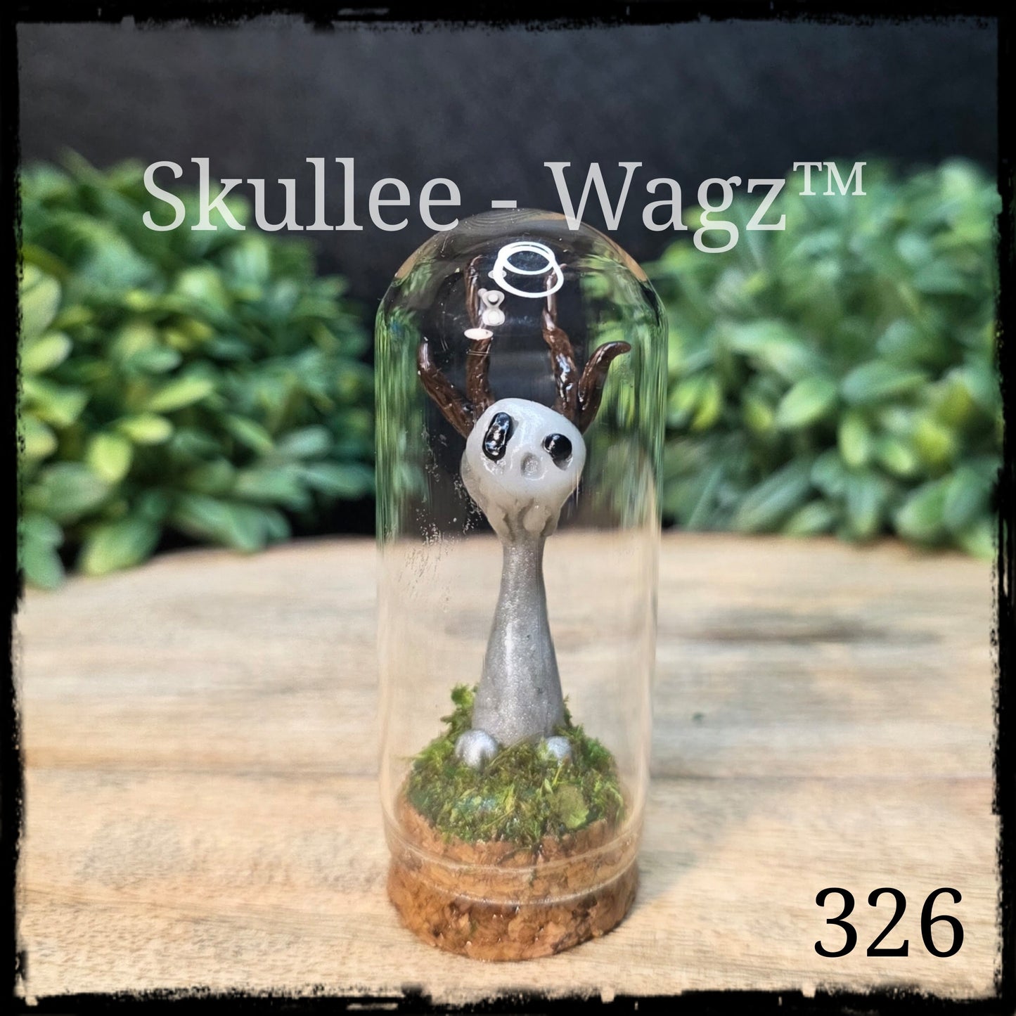 Skullee-Wagz™ #326 ~ Skull Face Glows In Dark
