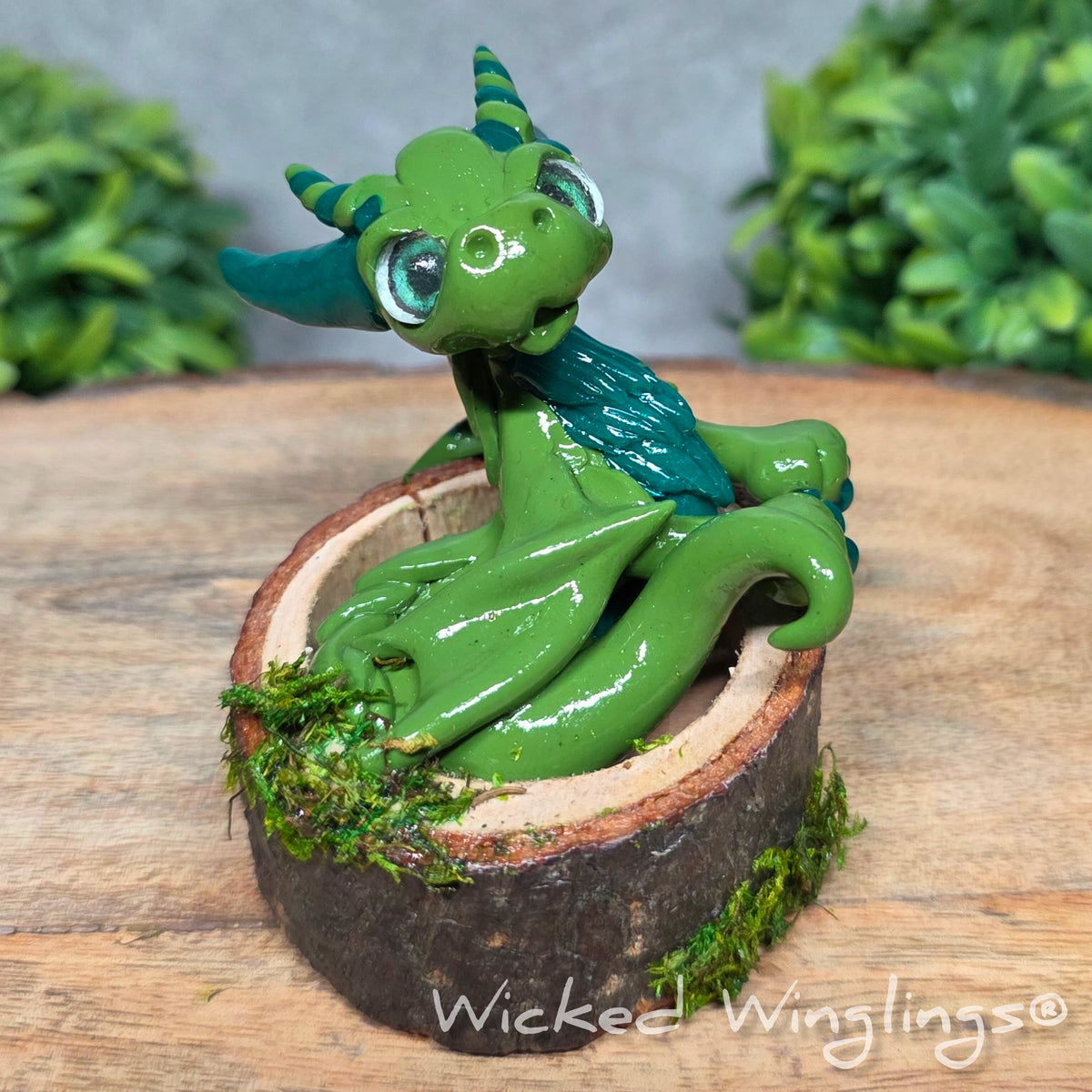 A green clay dragon in a wood stump against a blurred background with greenery. Text says Wicked Winglings