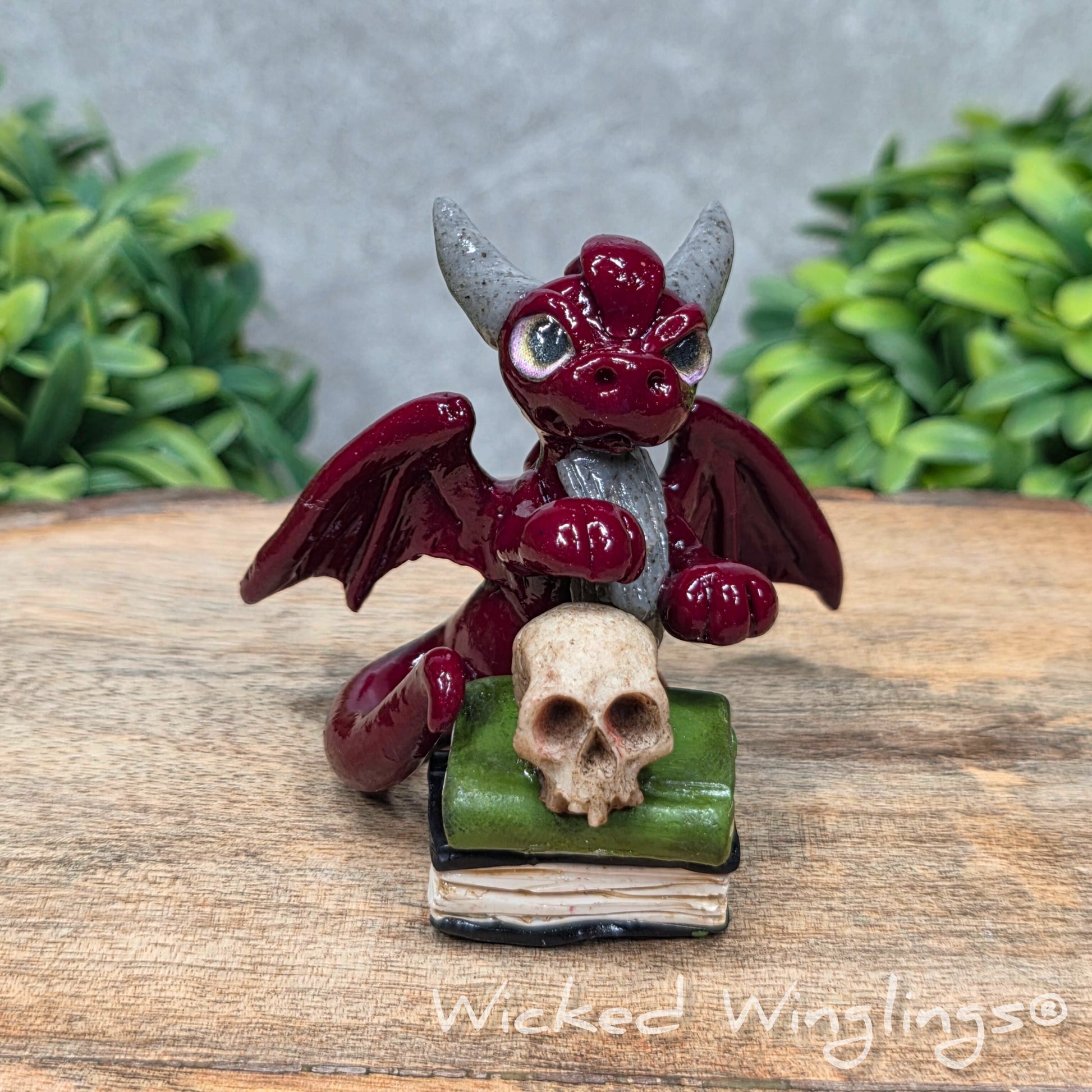 A clay dragon with a skull and books on a wood surface with greenery. Includes text Wicked Winglings