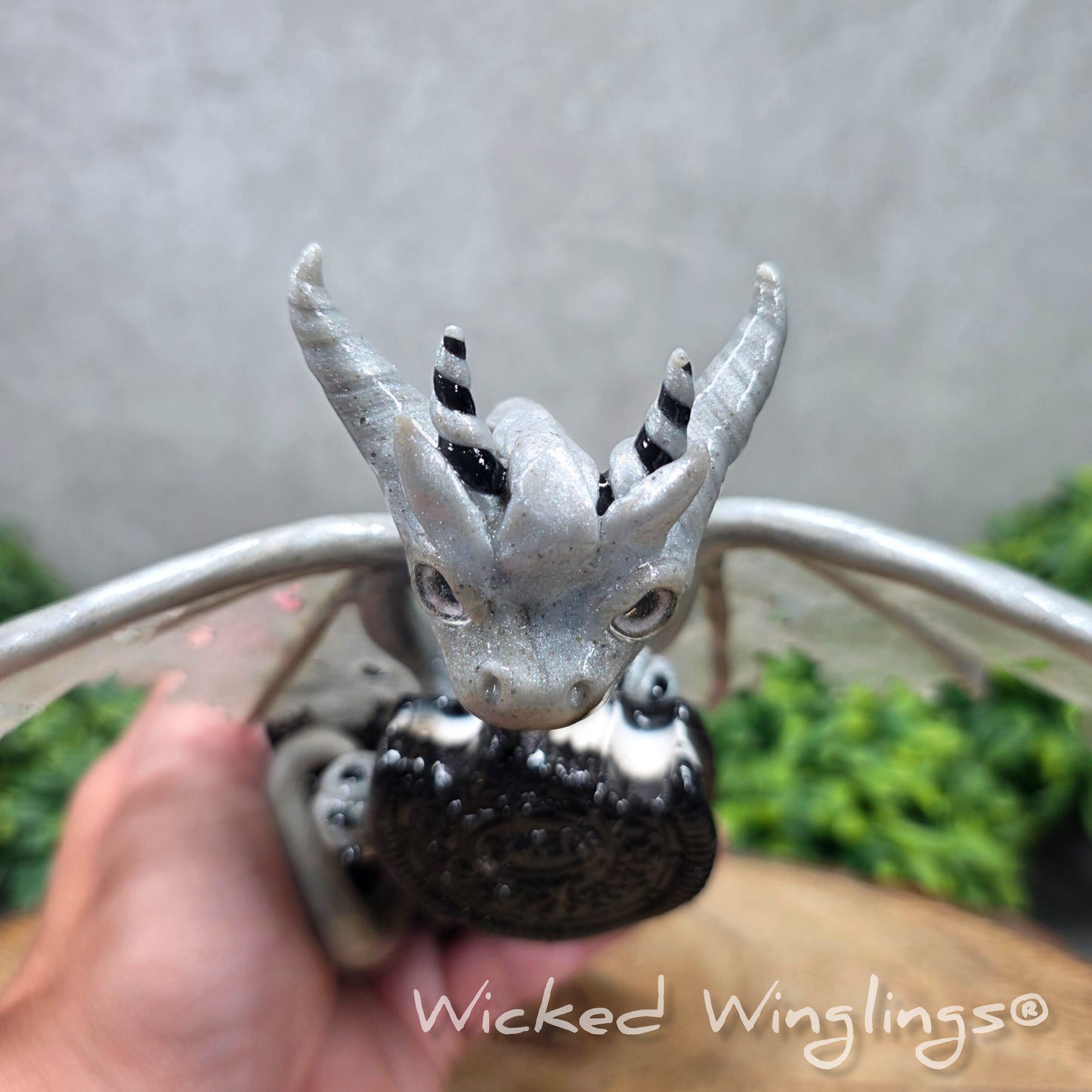 Top view of a  hand holding a  large clay dragon with cookies with a Wicked Winglings® watermark.