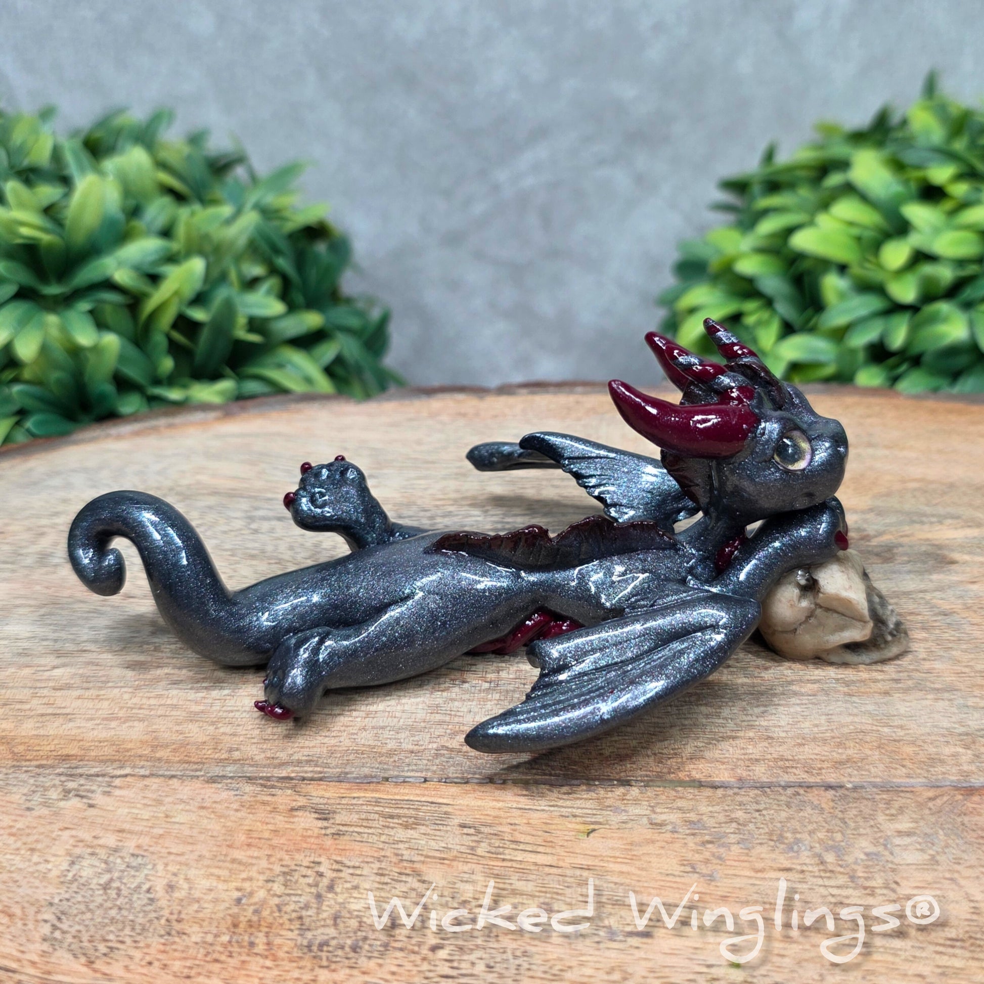 A clay dragon with a skull against a wood surface with greenery. Includes text Wicked Winglings