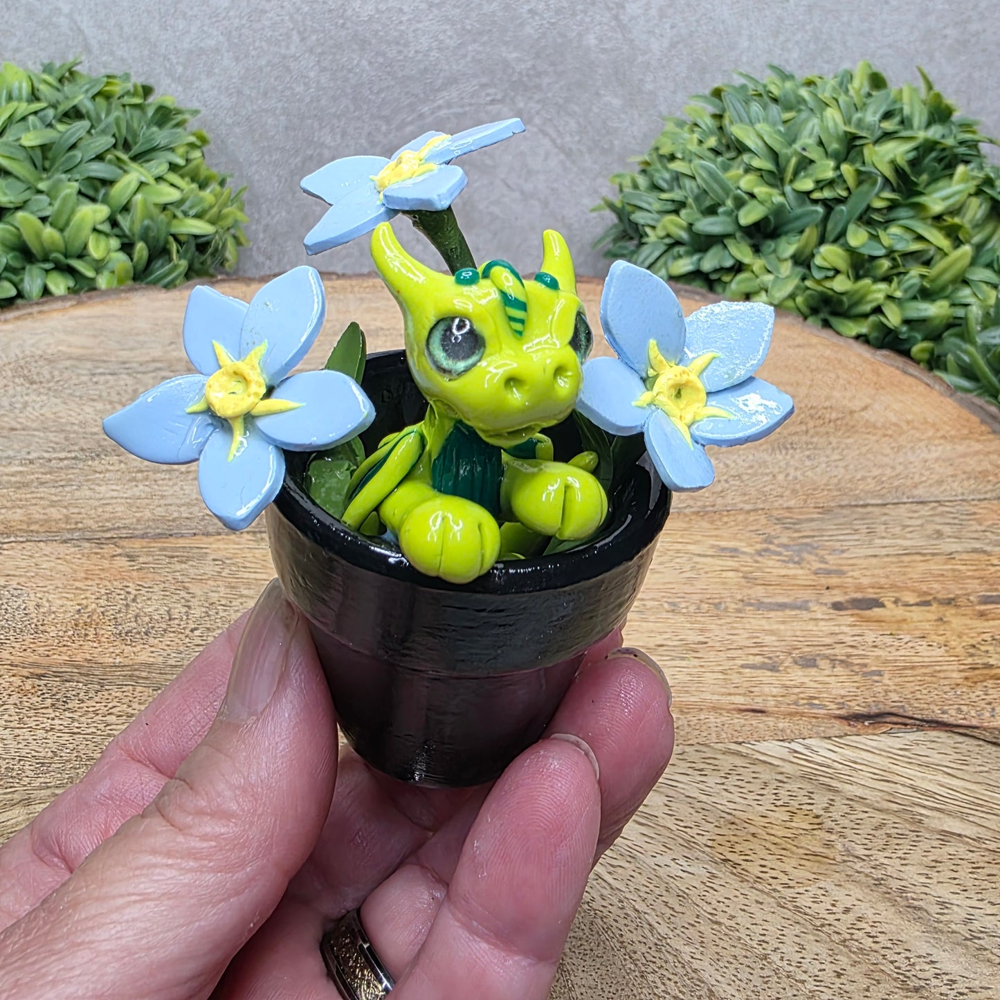 Hand holding a clay baby dragon in a pot with forget me nots against a wood surface with greenery.