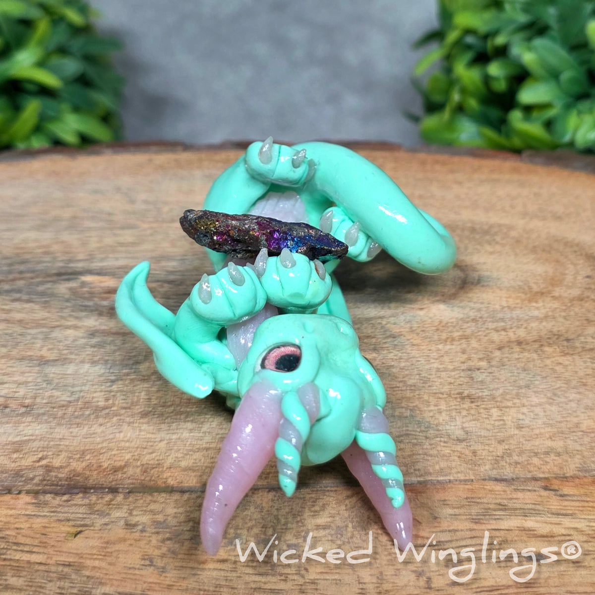 A mint clay dragon holding a rainbow colored stone against a blurred background with greenery. Text says Wicked Winglinng.