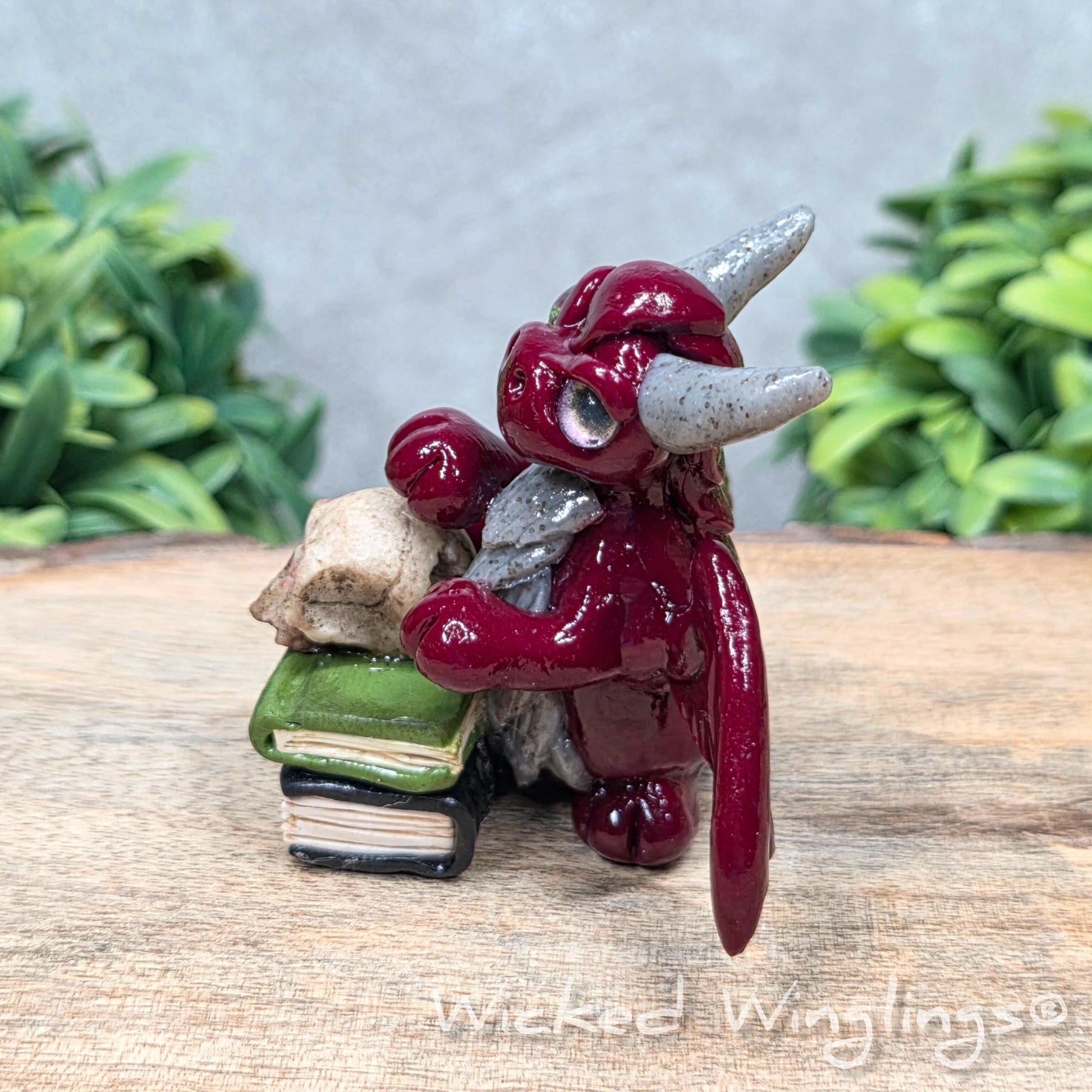 A clay dragon with a skull and books on a wood surface with greenery. Includes text Wicked Winglings