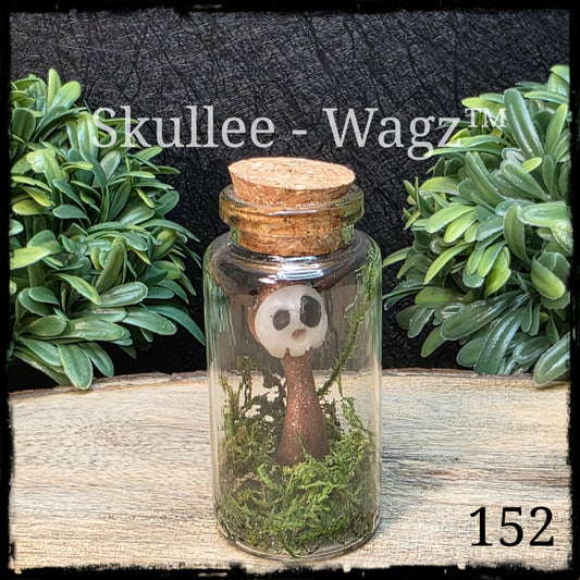 Skullee-Wagz™ #152 ~ Skull Face Glows In Dark