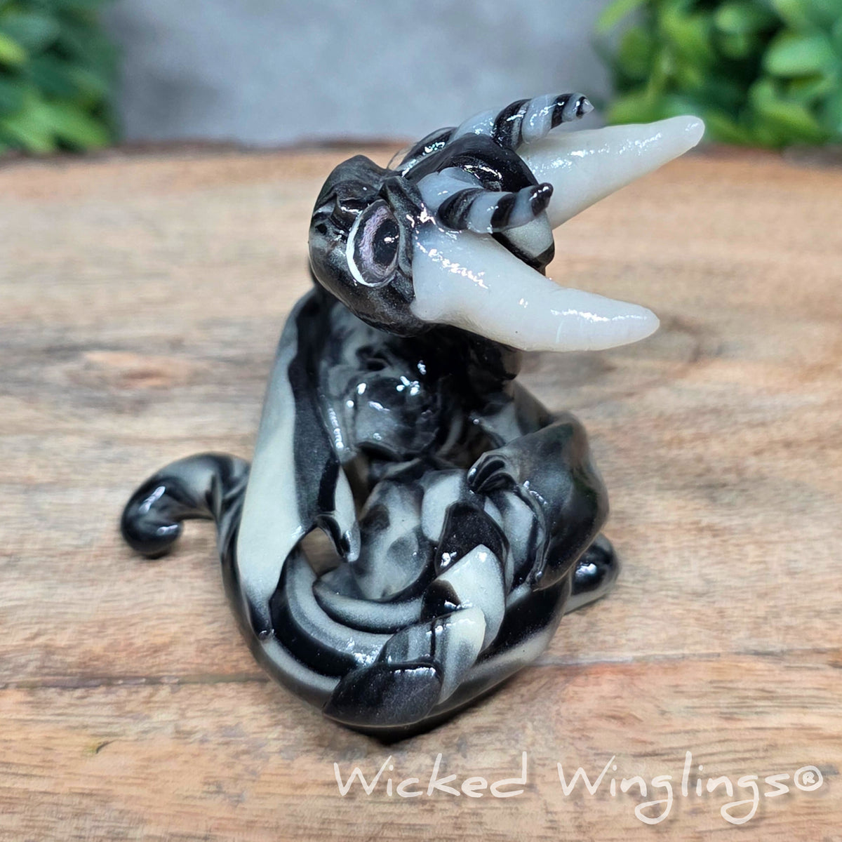 A side view of a swirled clay dragon in a wood stump against a blurred background with greenery. Text says Wicked Winglings
