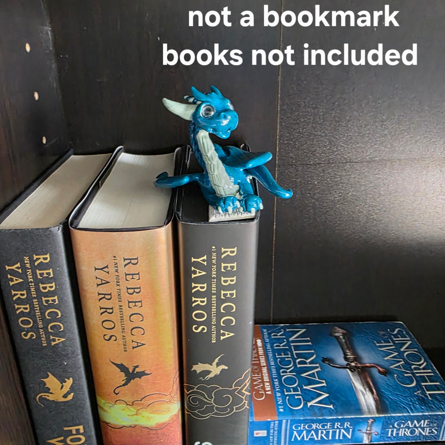 Dragon book insert with books and text that reads not a bookmark, books not included
