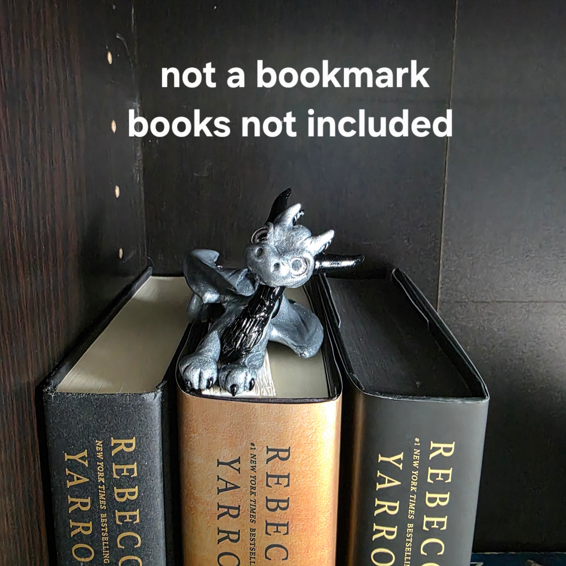 Dragon book insert inside a book with text that reads not a bookmark, books not included