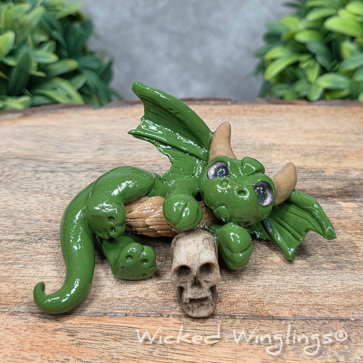 A clay dragon with a skull on a wood surface with greenery. Includes text Wicked Winglings