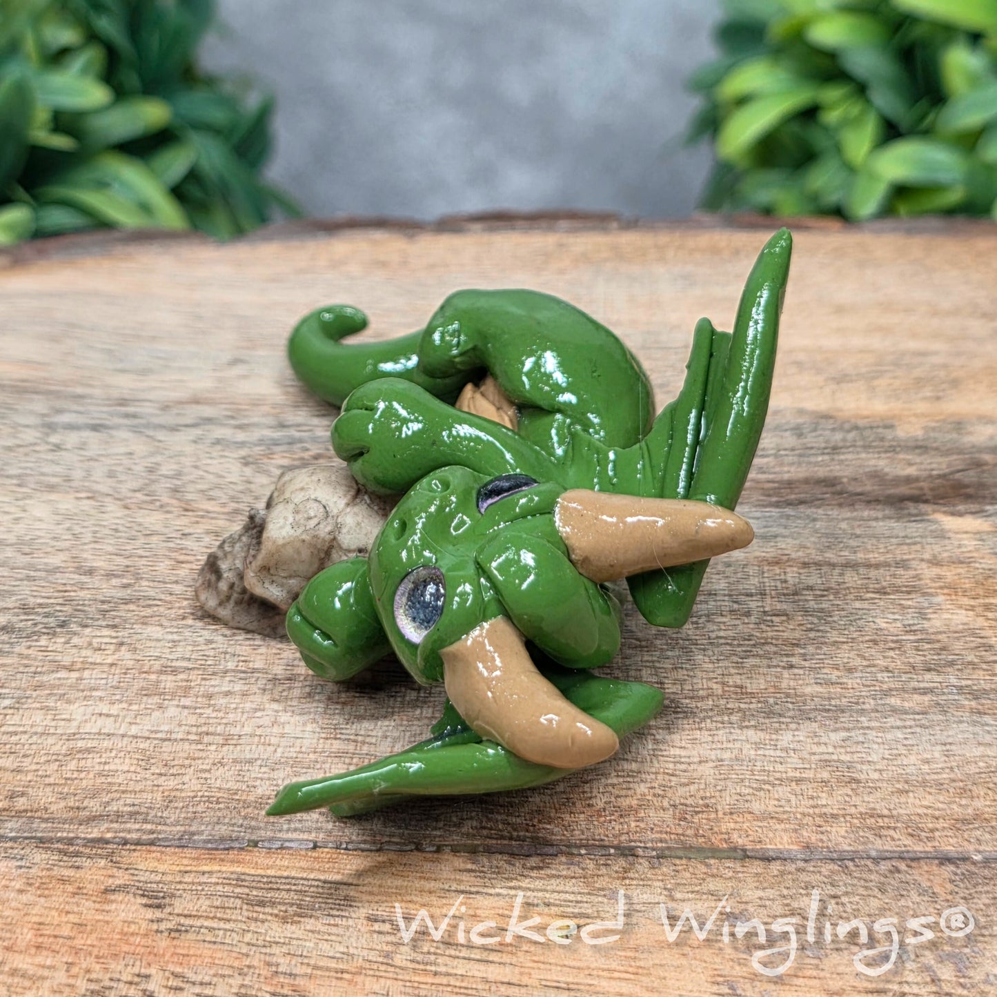 A clay dragon with a skull on a wood surface with greenery. Includes text Wicked Winglings