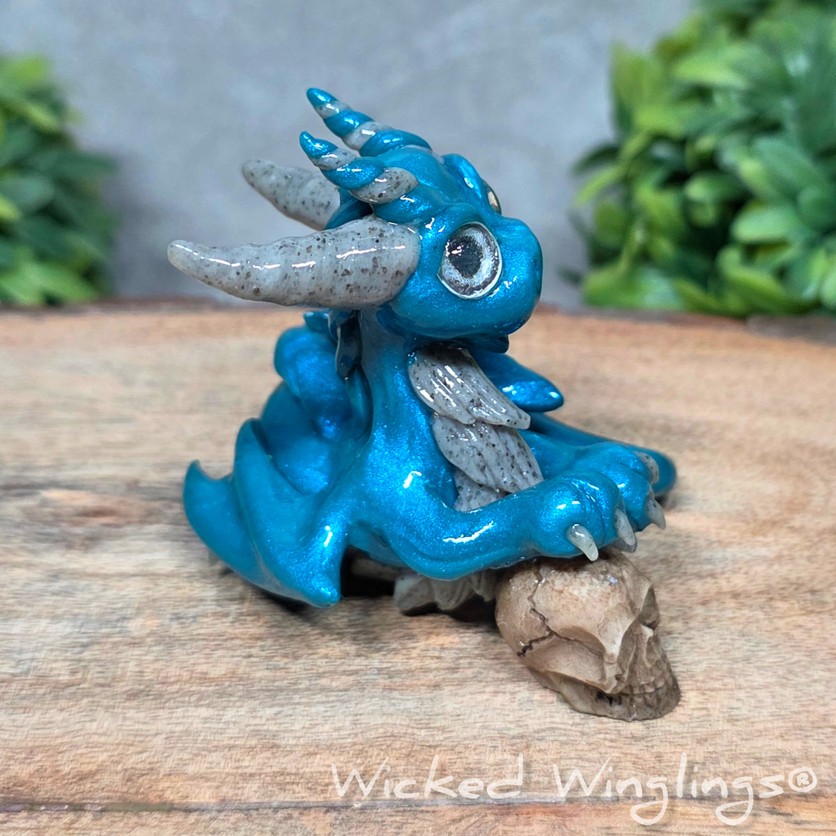  A clay dragon holding a skull sitting against a blurred background with greenery. Text says Wicked Winglings.