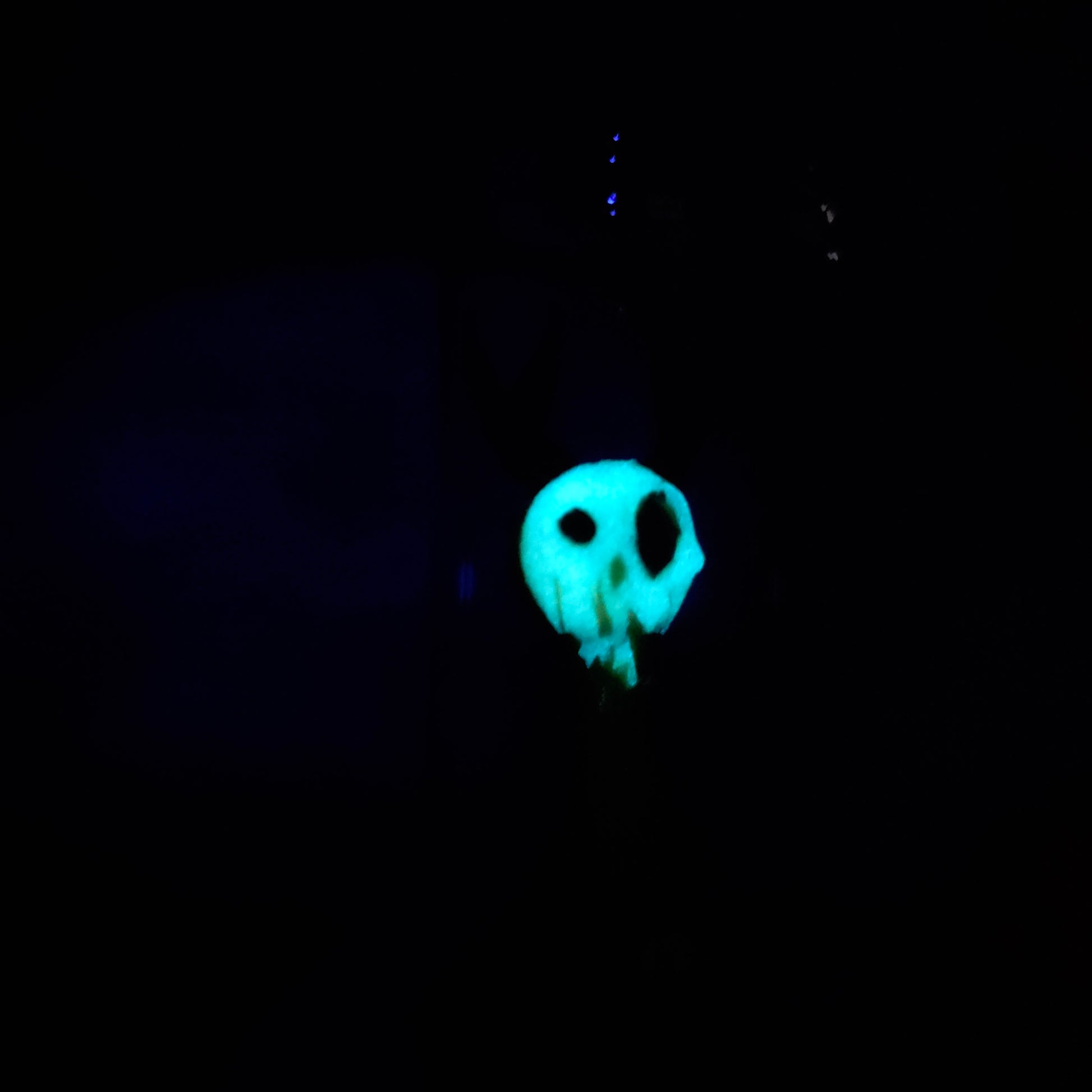 Skullee-Wagz face glowing in dark