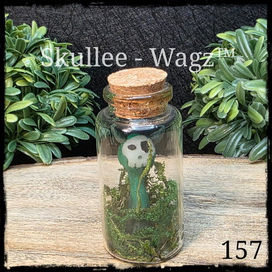 Skullee-Wagz™ #157 ~ Skull Face Glows In Dark