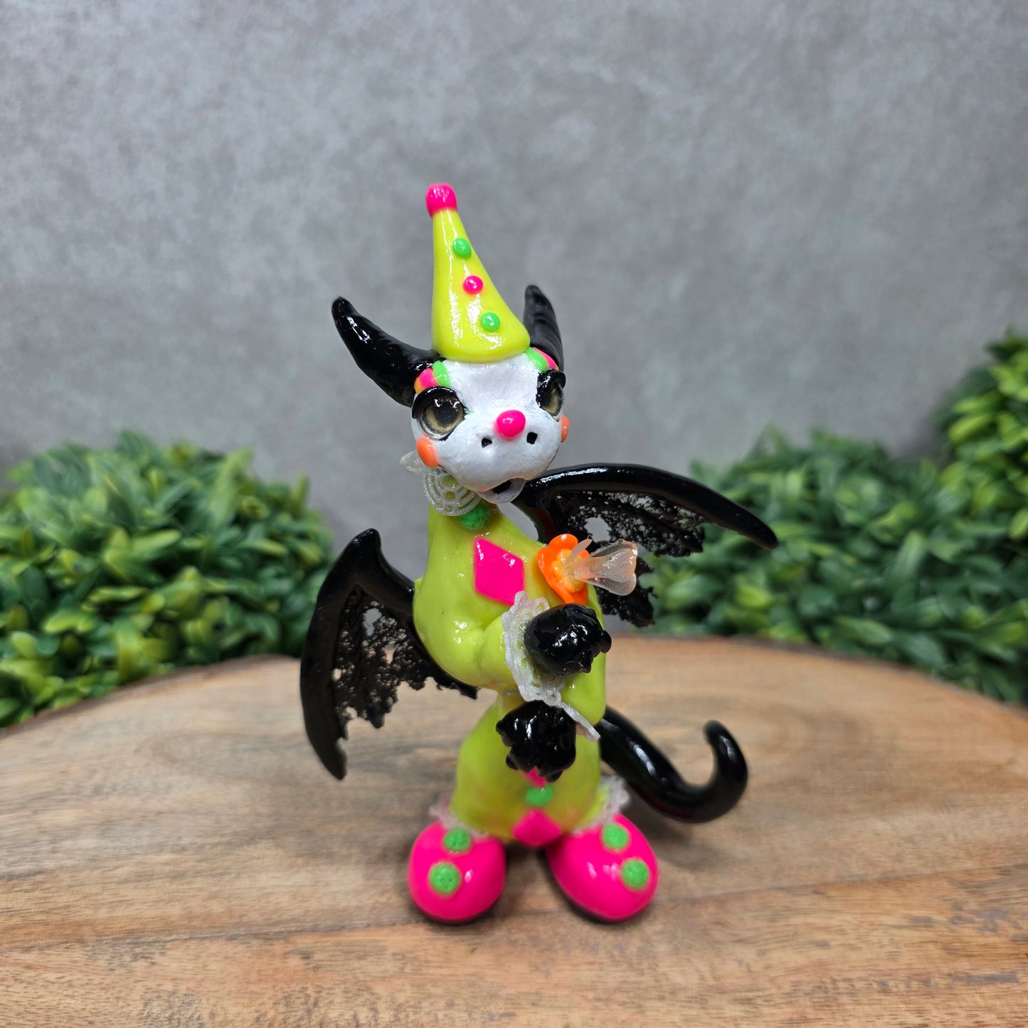 A clown dragon on wood surface with greenery