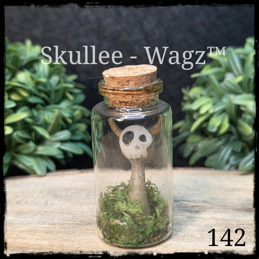 Skullee-Wagz™ #142 ~ Skull Face Glows In Dark