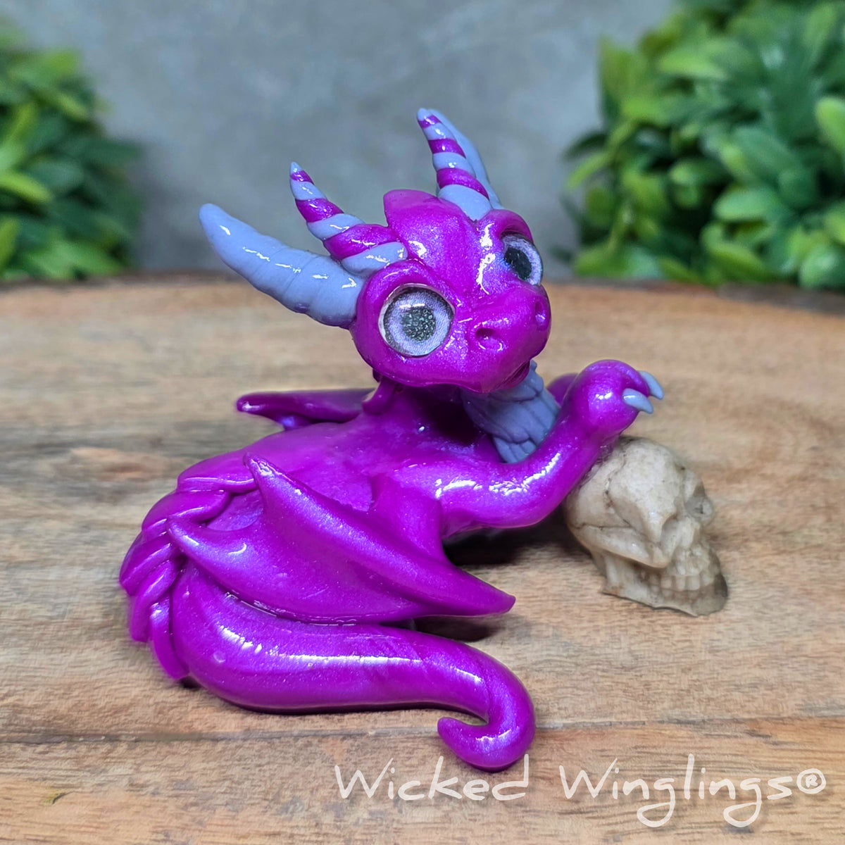  A clay dragon holding a skull sitting against a blurred background with greenery. Text says Wicked Winglinng.